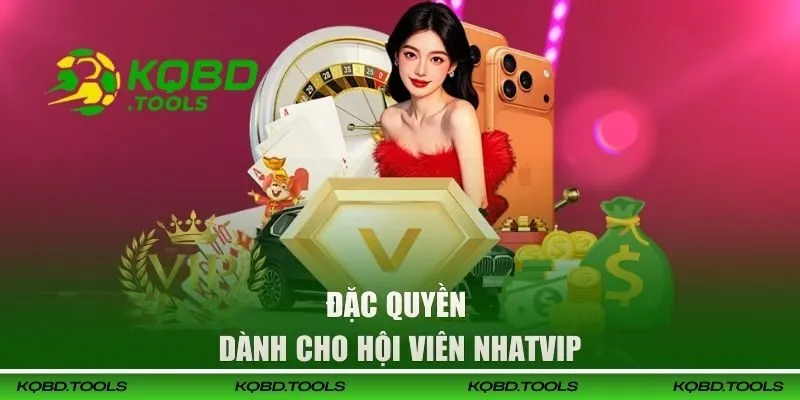 Các đặc quyền cho hội viên tham gia Nhat Vip