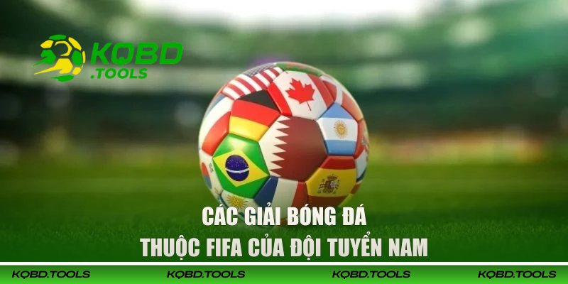 Các giải bóng đá thuộc FIFA của đội tuyển nam