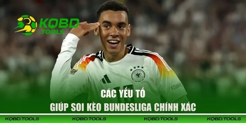 Các yếu tố giúp soi kèo Bundesliga chính xác