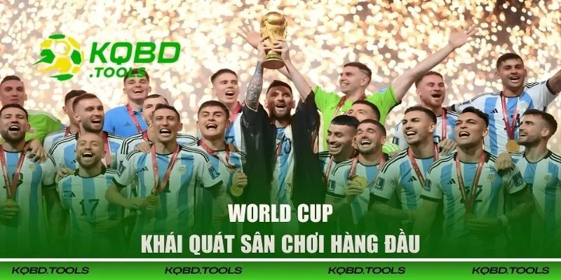 Khái quát sân chơi World Cup